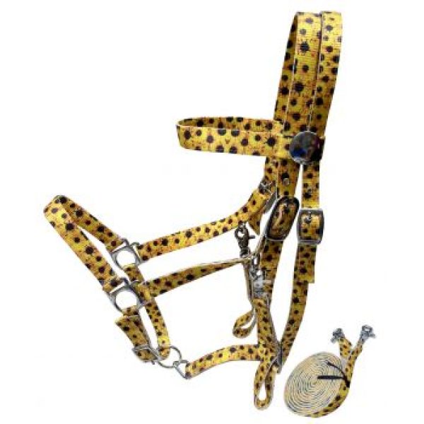 Showman® Sunflower Premium Nylon Combination Halter Bridle & Reins