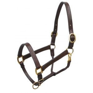 Leather Halter