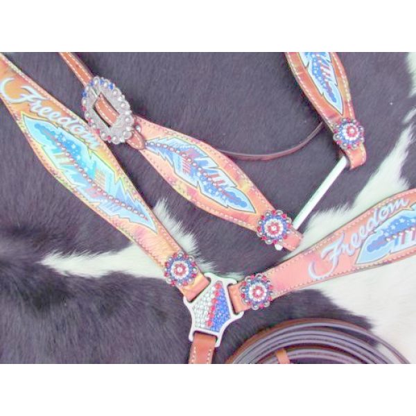 Showman FREEDOM Feather Hand Painted Leather Bridle Breast Collar & Reins SET - Image 5