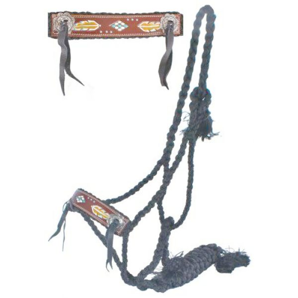 Showman Woven BLACK Nylon MULE TAPE Halter with Painted FEATHER Leather Noseband