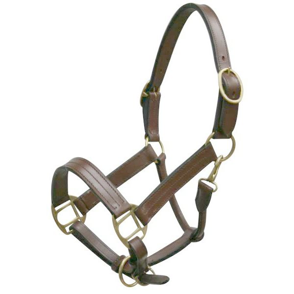 Yearling LEATHER Adjustable HALTER with BRASS Hardware