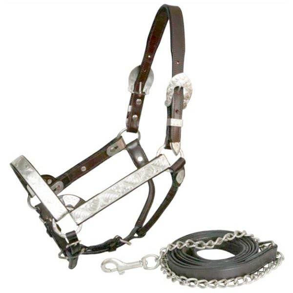 Showman SILVER Engraved Show HALTER & LEAD Double Stitched Leather Horse Size