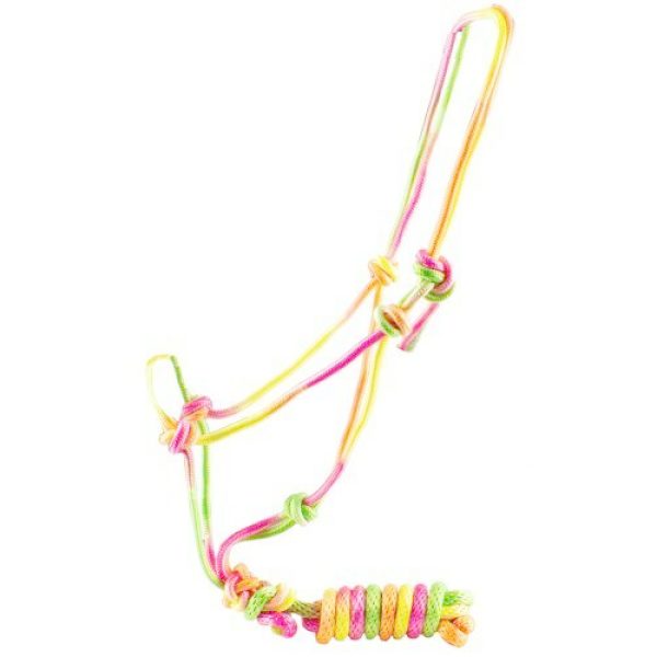 RAINBOW Cowboy Knot HALTER Including Matching LEAD