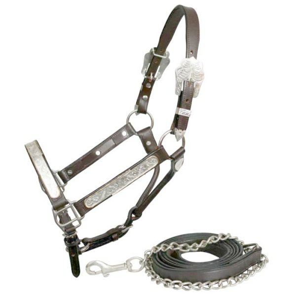 Showman DARK BROWN Leather SILVER & GOLD Edged Horse Size SHOW HALTER & LEAD