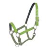 GLITTER Overlay & Neoprene Lined HALTER Adjustable Nylon Full Horse Size - Image 9