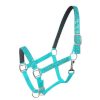 GLITTER Overlay & Neoprene Lined HALTER Adjustable Nylon Full Horse Size - Image 8