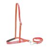 Padded NOSEBAND & Removable TIE DOWN Heavy Duty Soft Nylon Adjustable Horse Size - Image 6