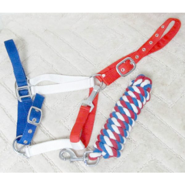 Showman RED WHITE BLUE Adjustable Nylon HALTER Matching 10' Cotton LEAD Rope - Image 3