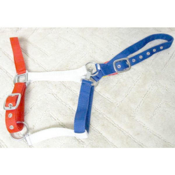 Showman RED WHITE BLUE Adjustable Nylon HALTER Matching 10' Cotton LEAD Rope - Image 4