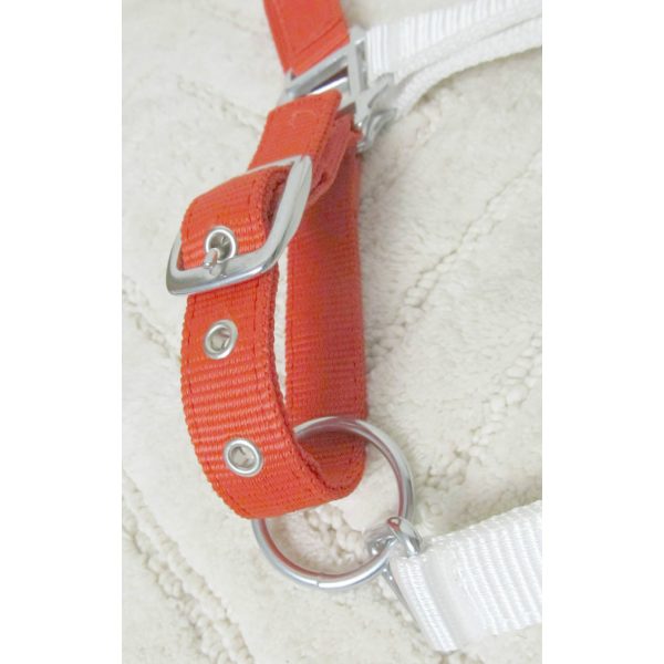 Showman RED WHITE BLUE Adjustable Nylon HALTER Matching 10' Cotton LEAD Rope - Image 5