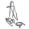 Showman Adjustable LEATHER Side Pull BITLESS BRIDLE with Matching Reins - Image 4