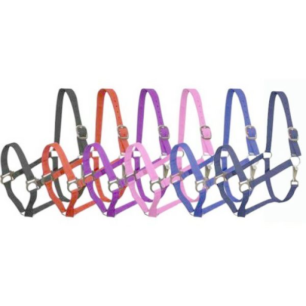 Adjustable COBB Size 2 Ply Nylon Western HALTER with Snap