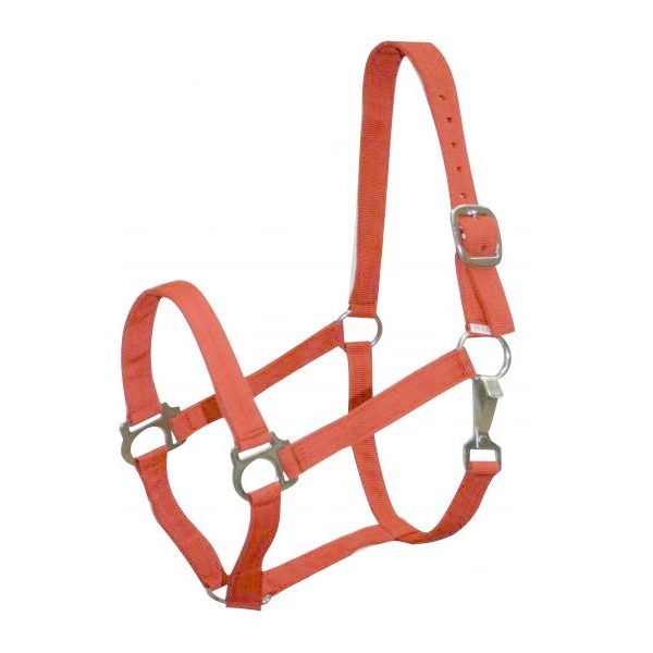 Adjustable COBB Size 2 Ply Nylon Western HALTER with Snap - Image 3