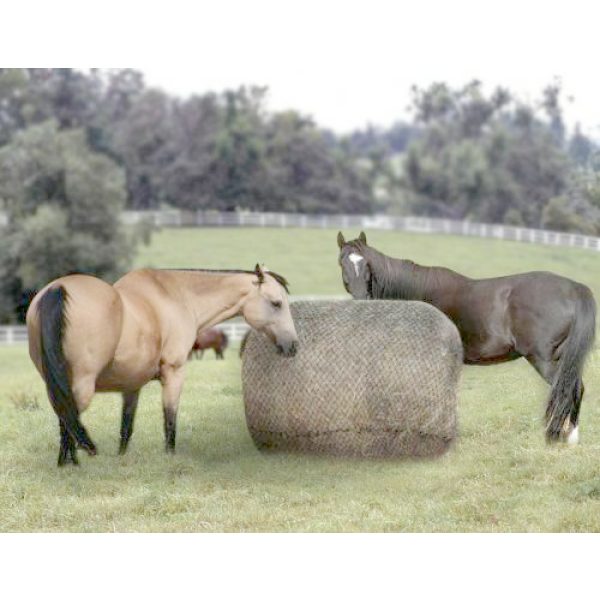 Showman ROUND BALE HAY NET with 2"x2" SLOW FEED Openings Fits up to 6' x 6' Bale - Image 3