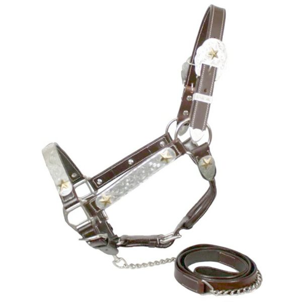 Showman Leather SHOW HALTER& Matching LEAD Horse Size SILVER & GOLD Stars
