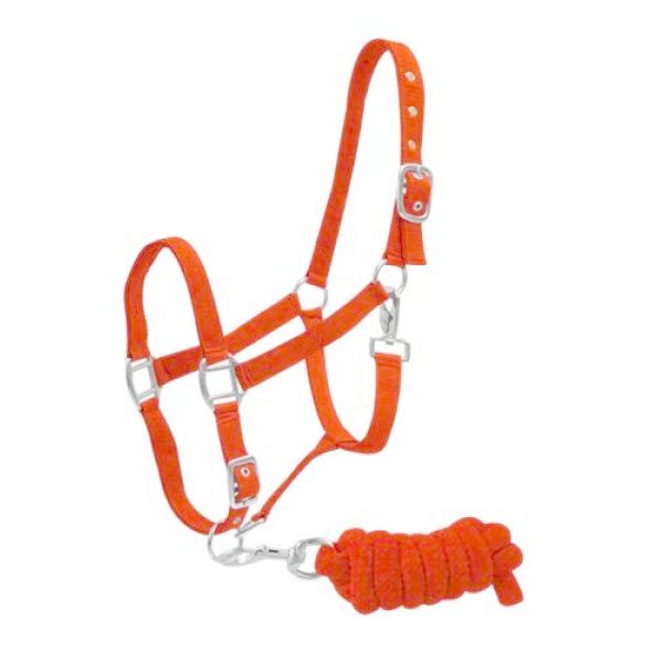 Showman Full Horse Size 2 Ply Nylon Halter with 7ft Braided Cotton Lead Rope