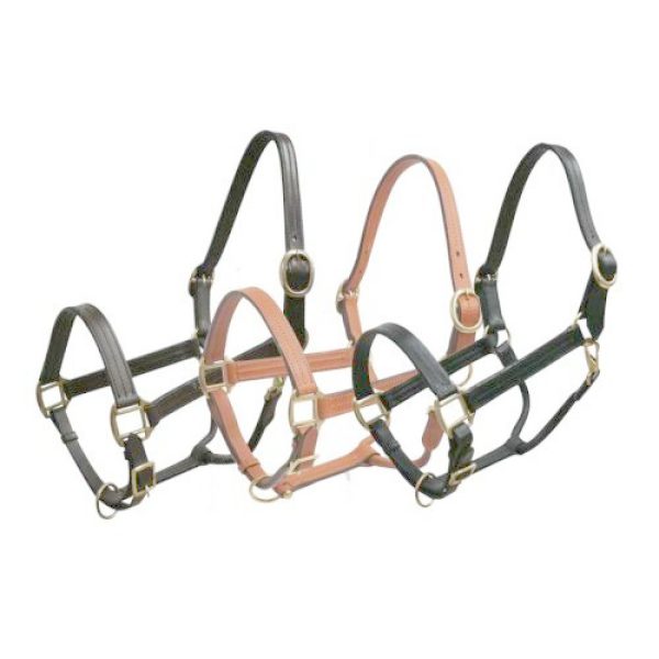 LEATHER Triple Ply HALTER Full Horse Size Adjustable with BRASS Hardware