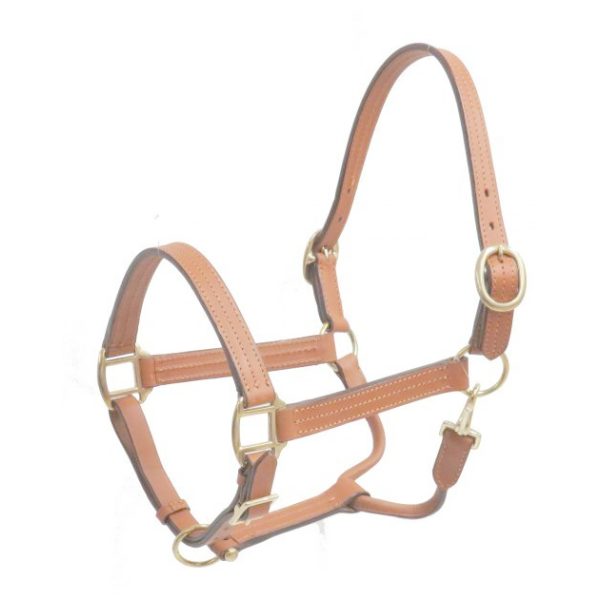 LEATHER Triple Ply HALTER Full Horse Size Adjustable with BRASS Hardware - Image 2