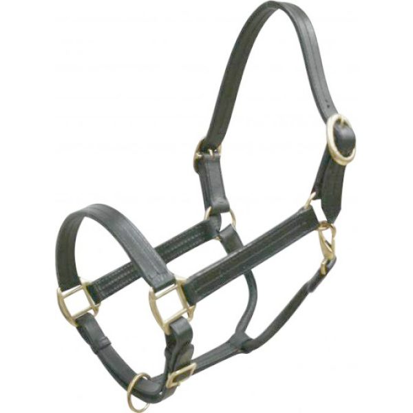 LEATHER Triple Ply HALTER Full Horse Size Adjustable with BRASS Hardware - Image 4