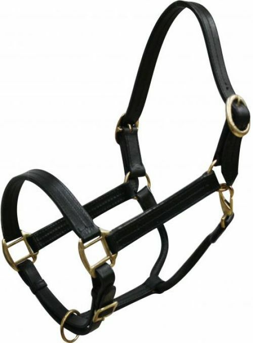 LEATHER Triple Ply HALTER Full Horse Size Adjustable with BRASS Hardware 