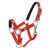 PONY size Neoprene Lined Running Horse Overlay Nylon HALTER - Image 5