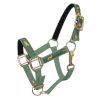 PONY size Neoprene Lined Running Horse Overlay Nylon HALTER - Image 4