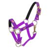 PONY size Neoprene Lined Running Horse Overlay Nylon HALTER - Image 6